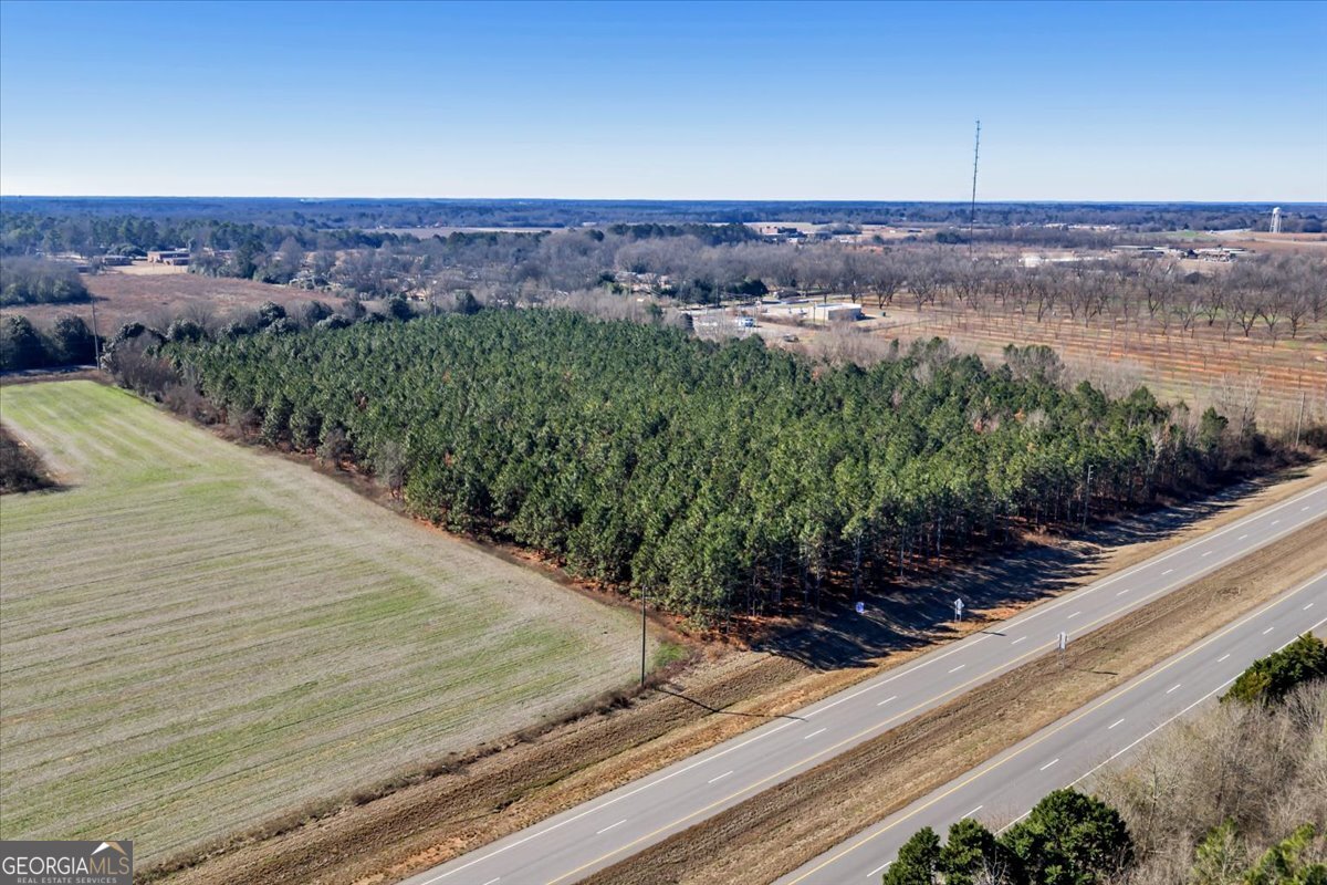 341-49 Highway Fort Valley, GA 31030 - Photo 9 of 23 a view of a lake and mountain