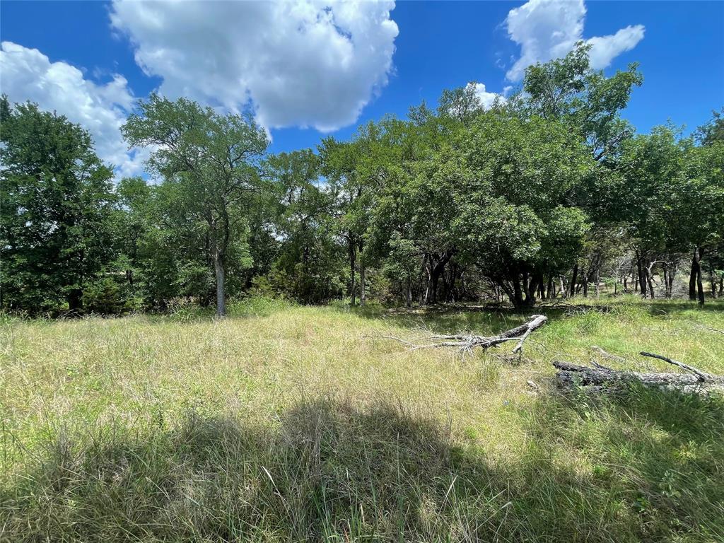 2000 Austin Hines Drive China Spring, TX 76633 - Photo 6 of 16