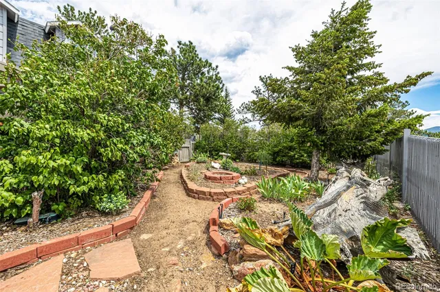 a view of a garden with an outdoor space