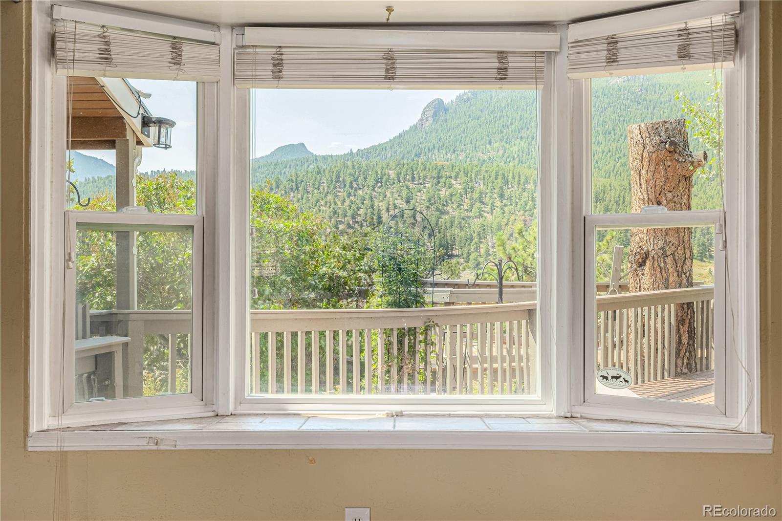 658 Little Prospect Road Estes Park, CO 80517 - Photo 40 of 49