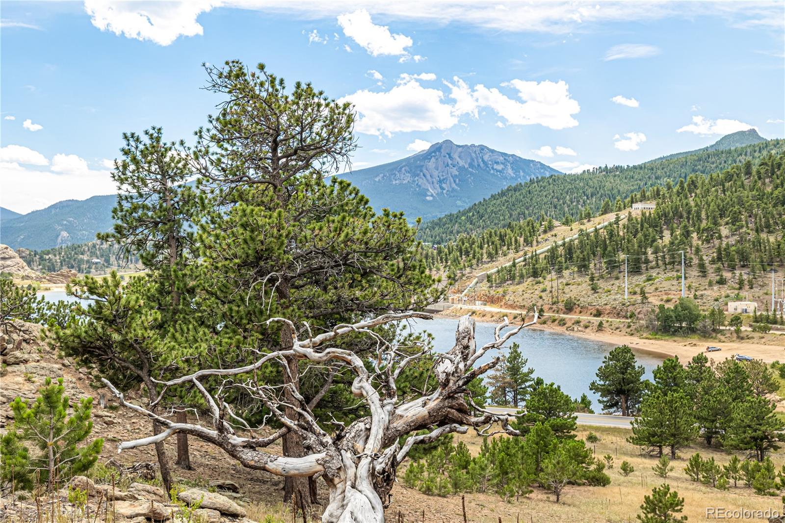 658 Little Prospect Road Estes Park, CO 80517 - Photo 5 of 49