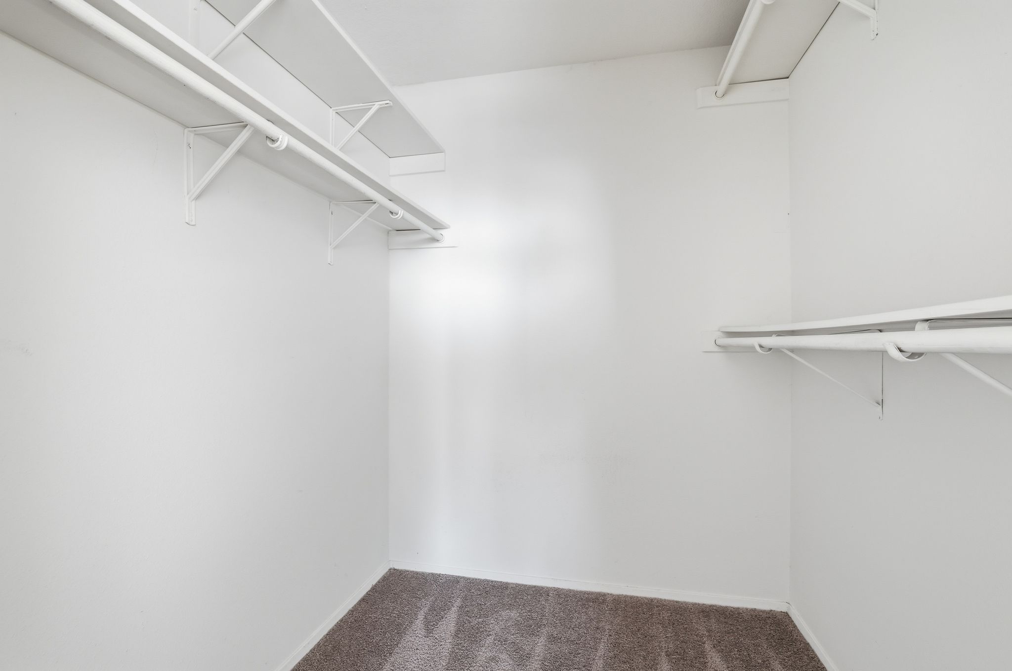 13004 Esplanade Street Austin, TX 78727 - Photo 13 of 36 Primary walk in closet with carpet floors