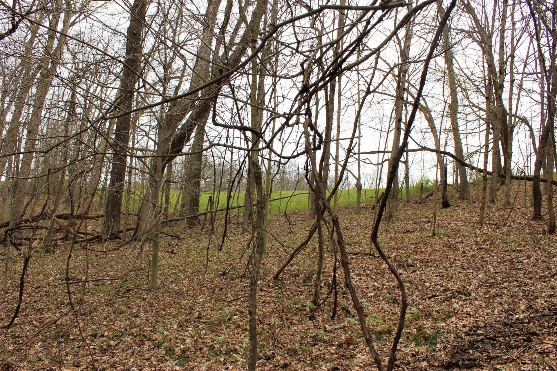 0 Moore Road Logan, OH 43138 - Photo 25 of 40 IMG_3217