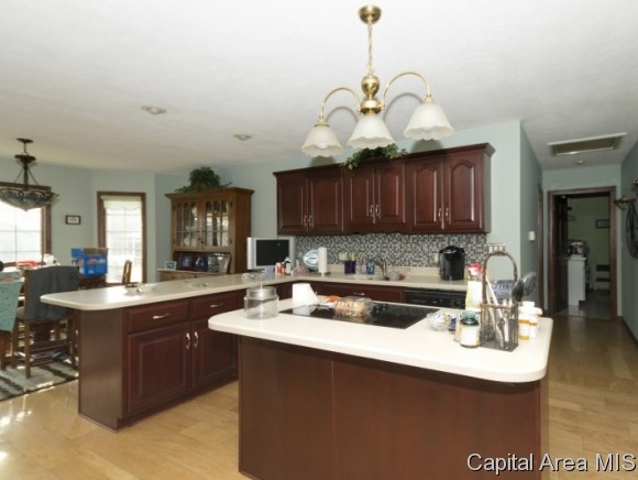2512 Sage Lane Springfield, IL 62711 - Photo 5 of 14 Gallery Image 5