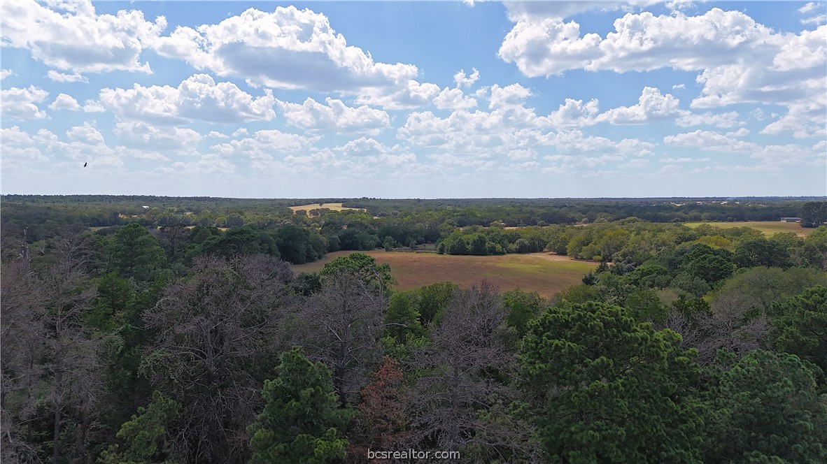 8 & 13) Road Paige, TX 78659 - Photo 5 of 22 Gallery Image 5