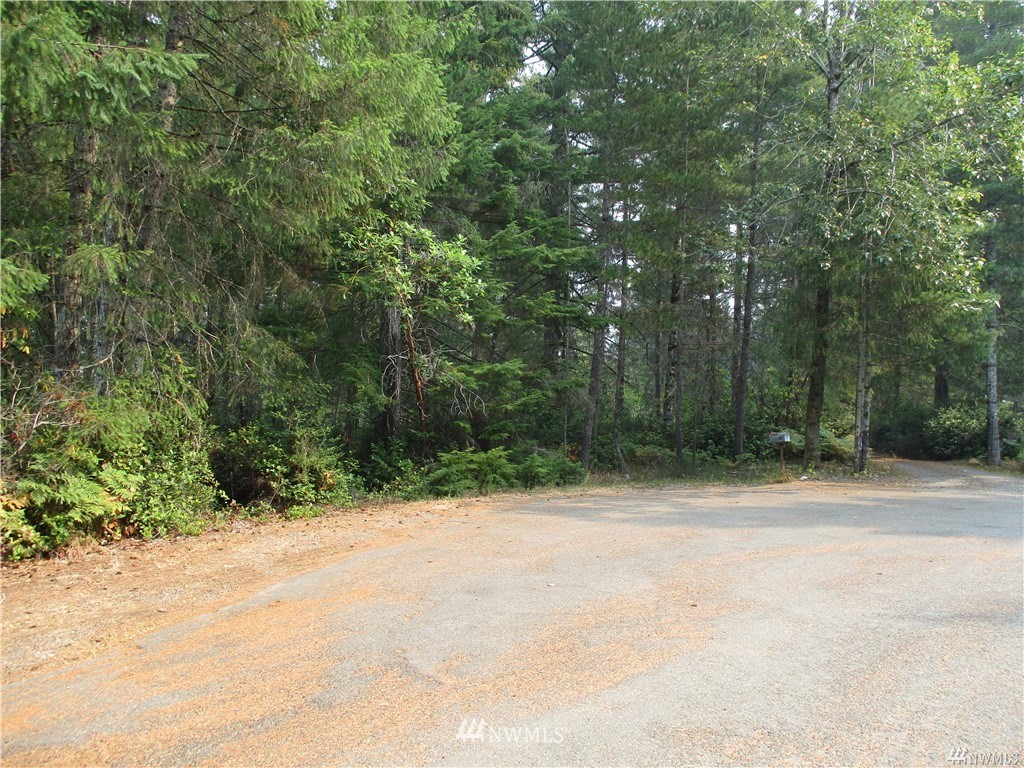 0 Arellem Union Union, WA 98592 - Photo 1 of 1 Gallery Image 1