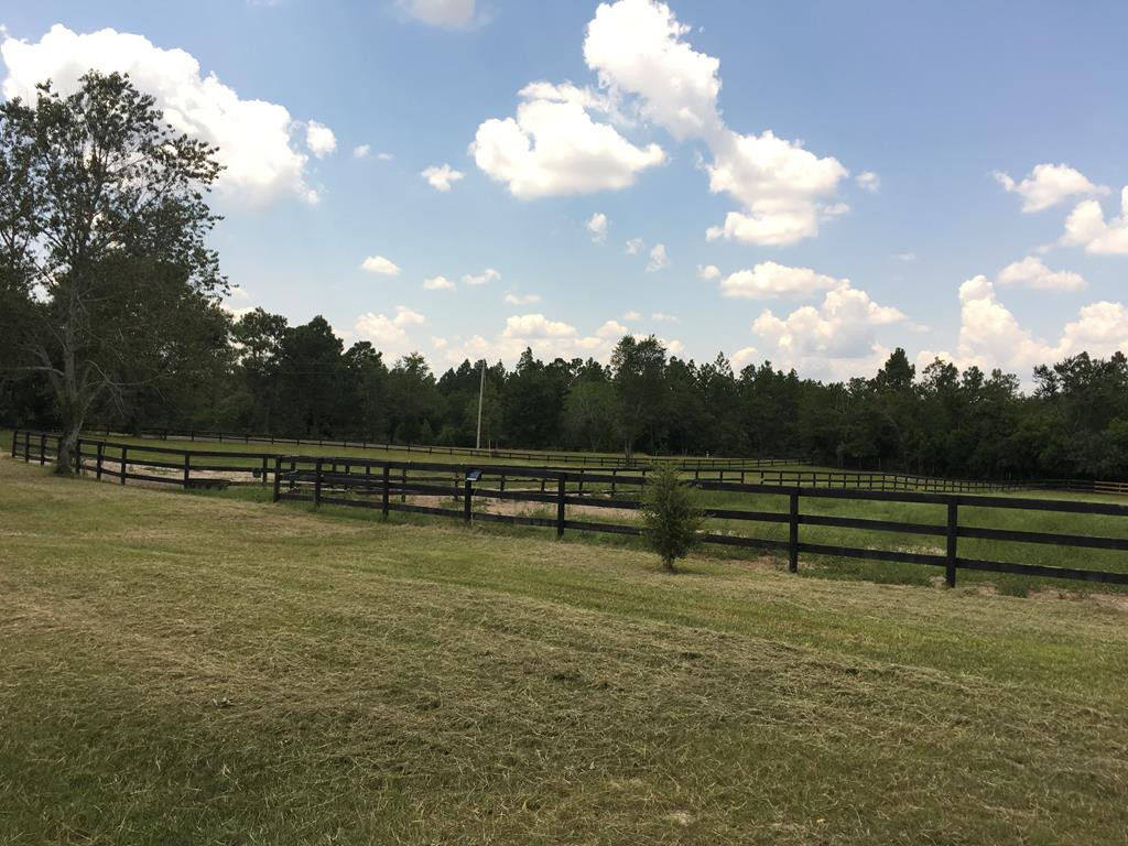 405 Cadle Crossing Road Windsor, SC 29856 - Photo 26 of 43