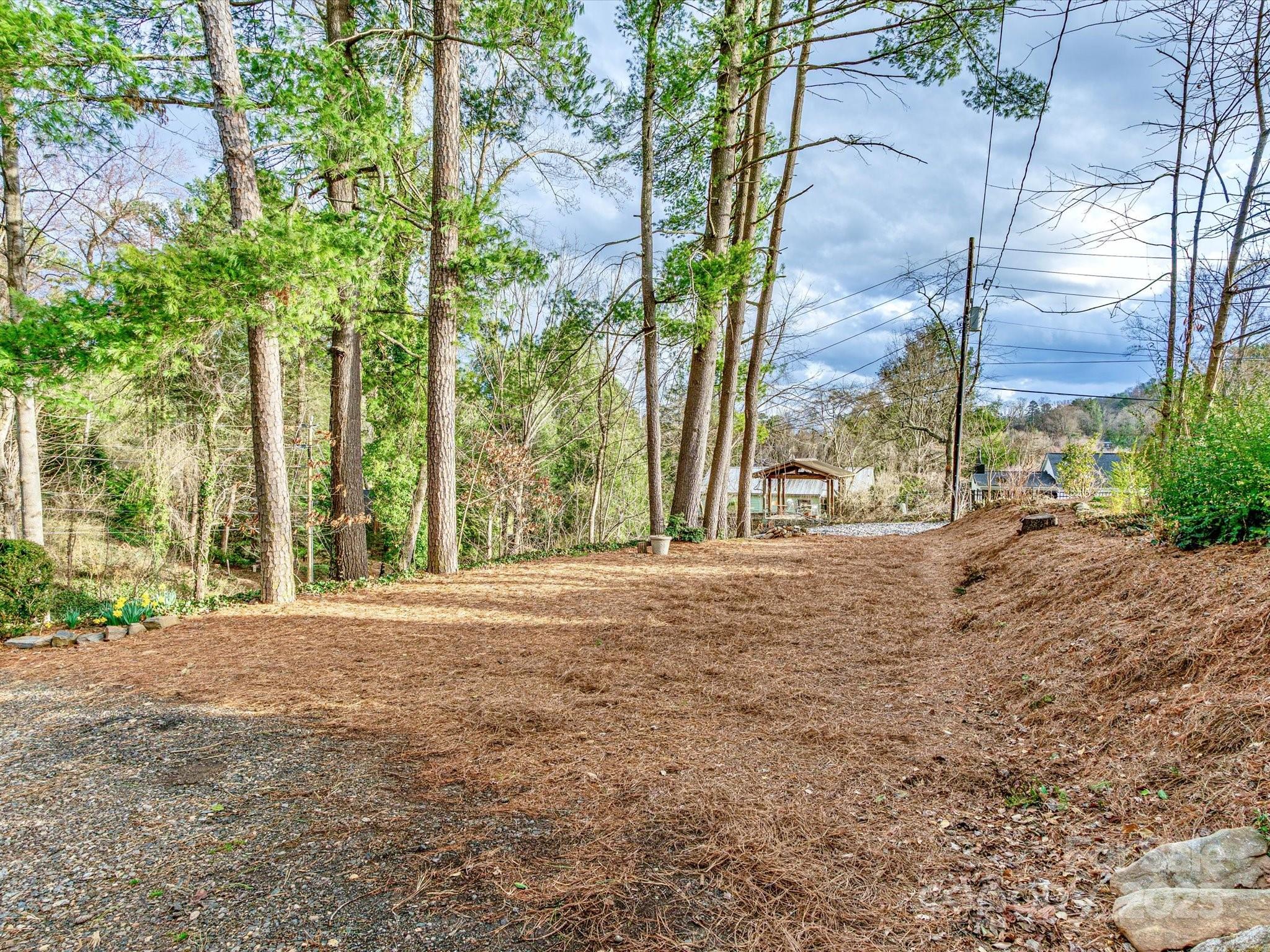35 Windsor Road Asheville, NC 28804 - Photo 45 of 48 Gallery Image 45