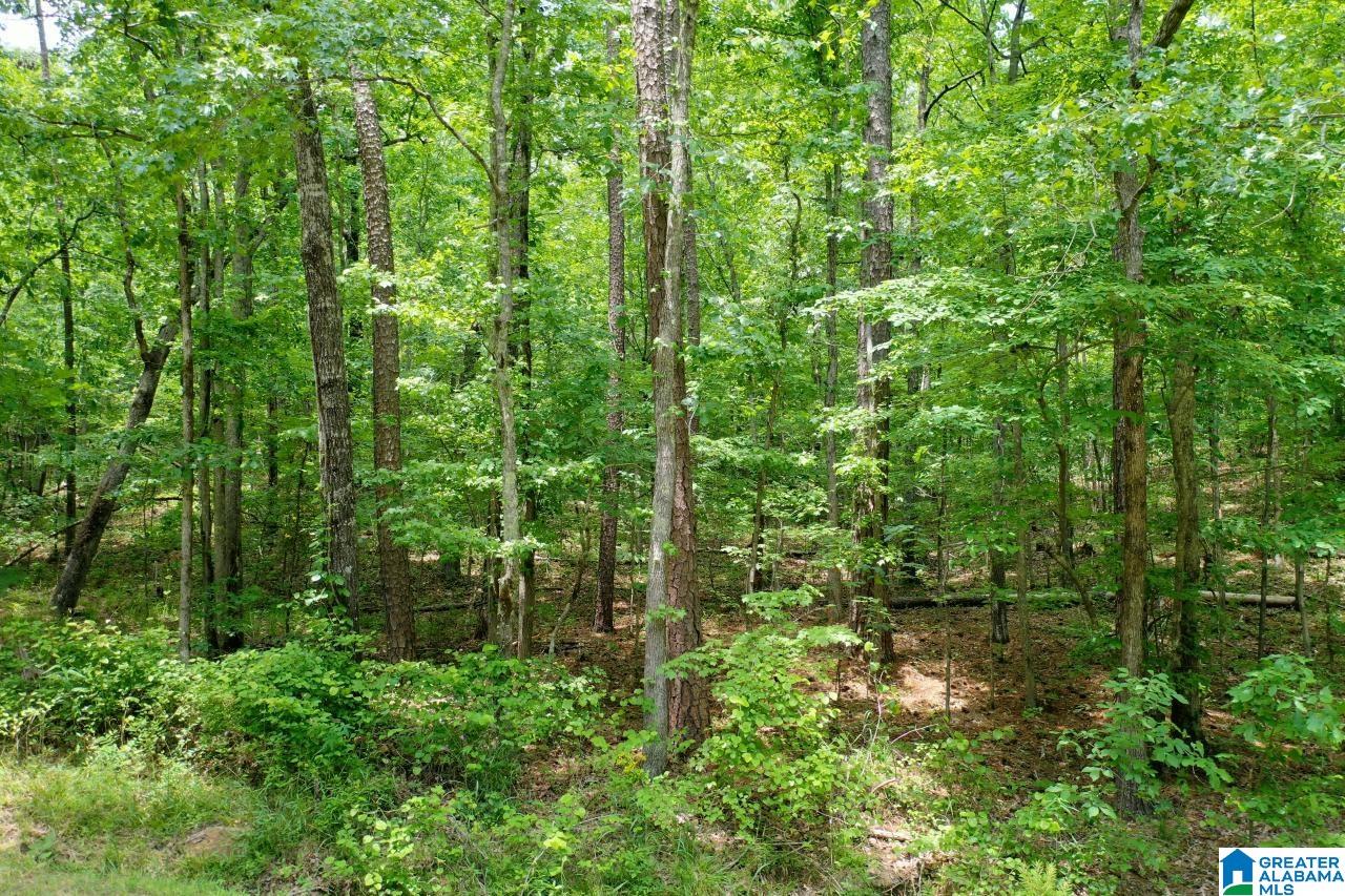 0 Kennedy Drive, Unit 13 Oneonta, AL 35121 - Photo 7 of 10