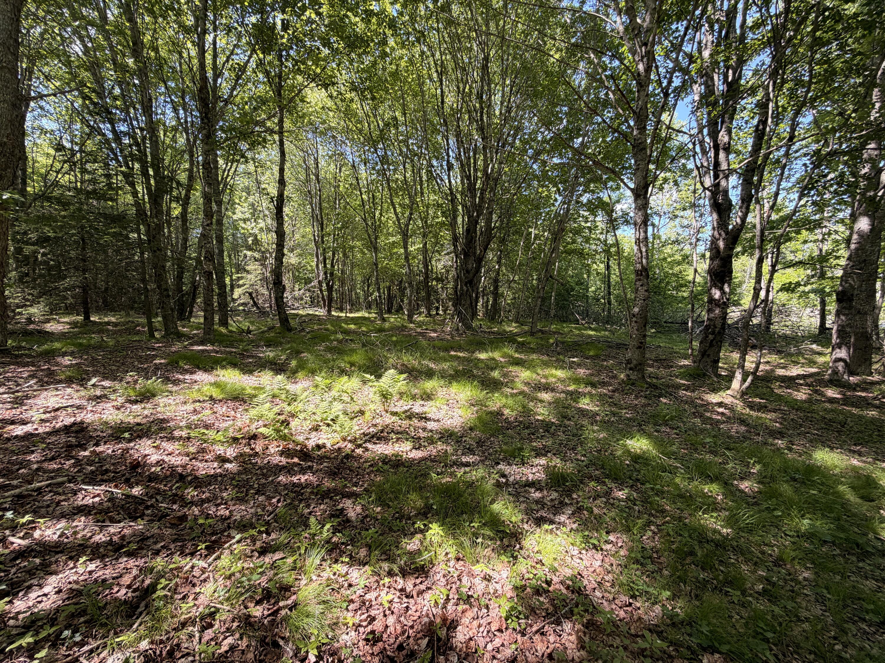 M5-l42 Hooke Road Harrington, ME 04643 - Photo 23 of 33