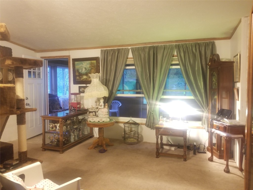 371 Winters Road Barton, NY 13734 - Photo 33 of 48 Gallery Image 33