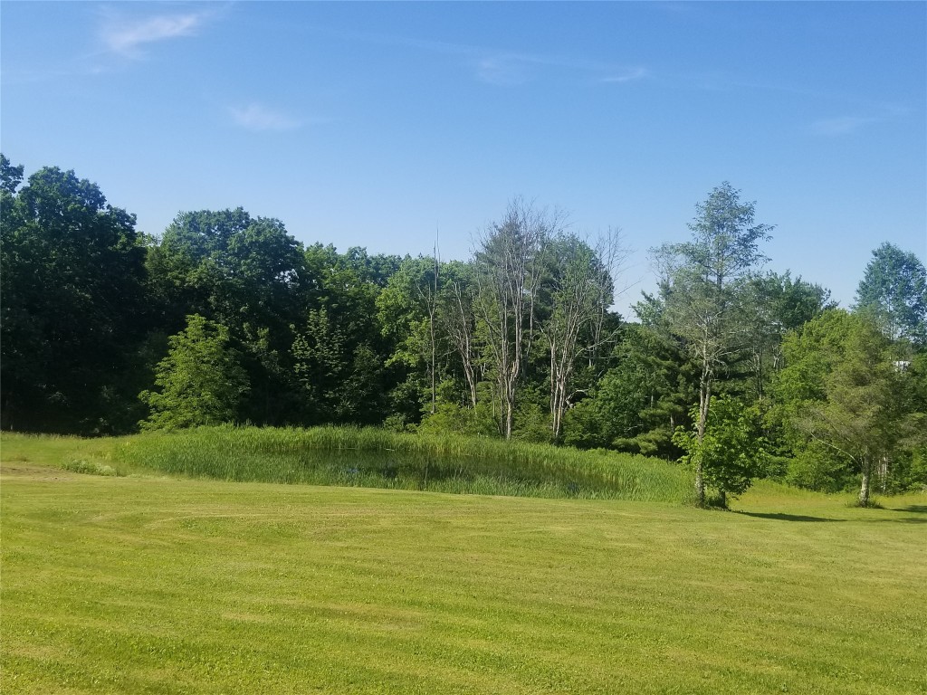 371 Winters Road Barton, NY 13734 - Photo 45 of 48 Gallery Image 45