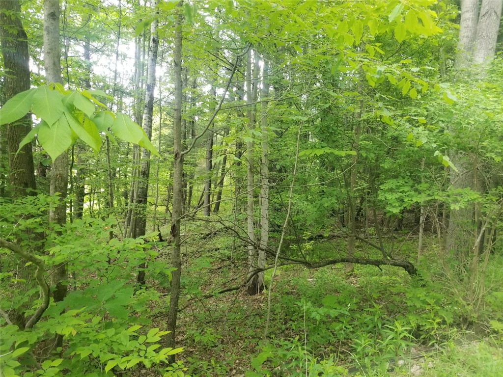 371 Winters Road Barton, NY 13734 - Photo 47 of 48 Gallery Image 47
