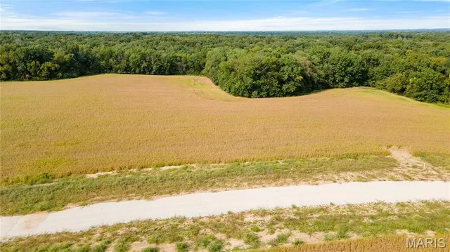 $86,500 | 118 Otto Court, Silex, MO 63377