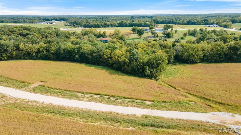 118 Otto Court Silex, MO 63377 - Photo 14 of 26