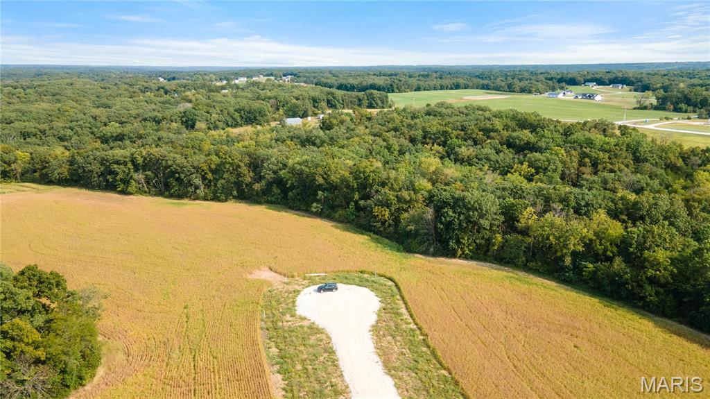 118 Otto Court Silex, MO 63377 - Photo 10 of 26