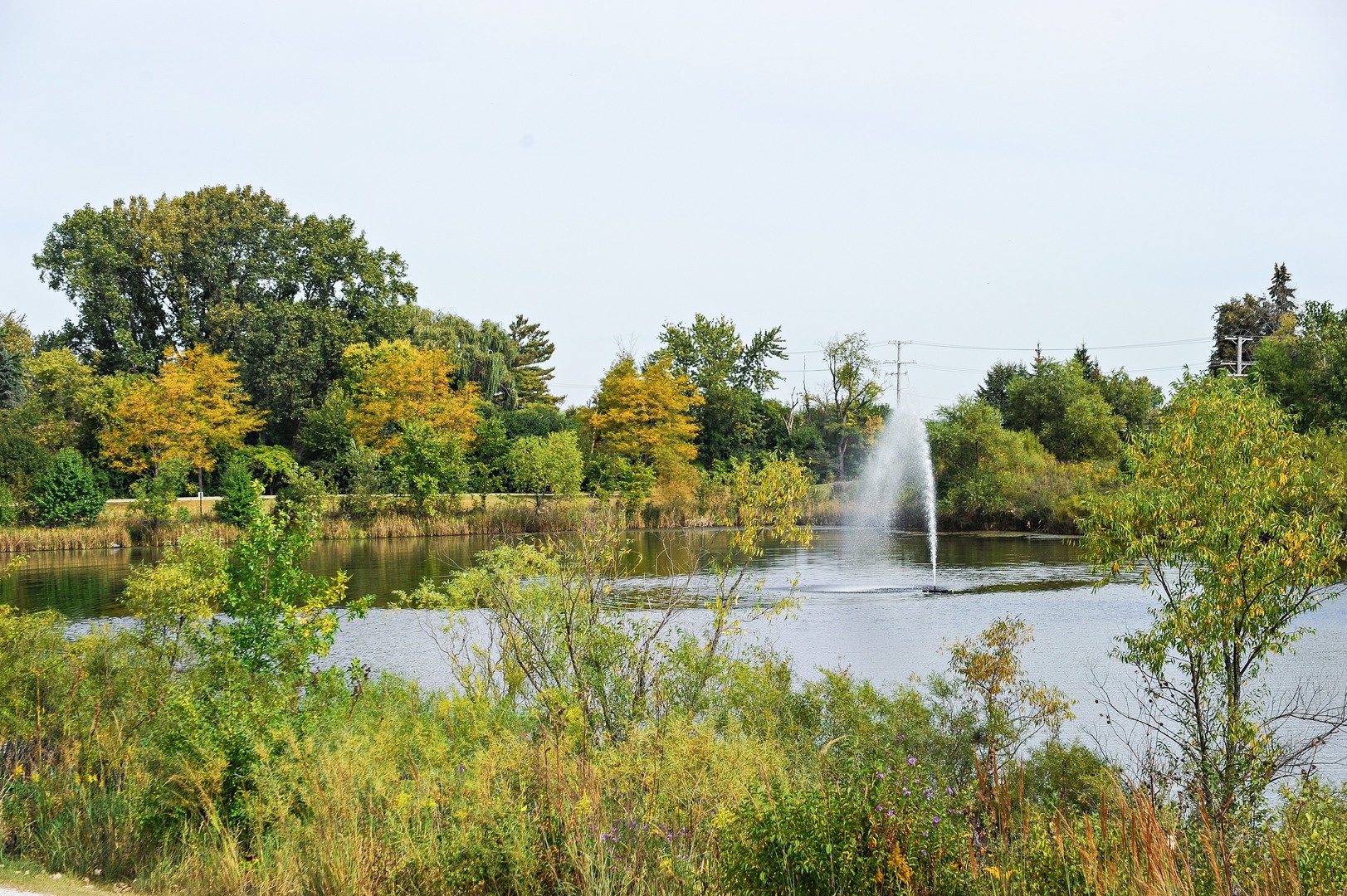 3123 Falling Waters Lane Lindenhurst, IL 60046 - Photo 11 of 16