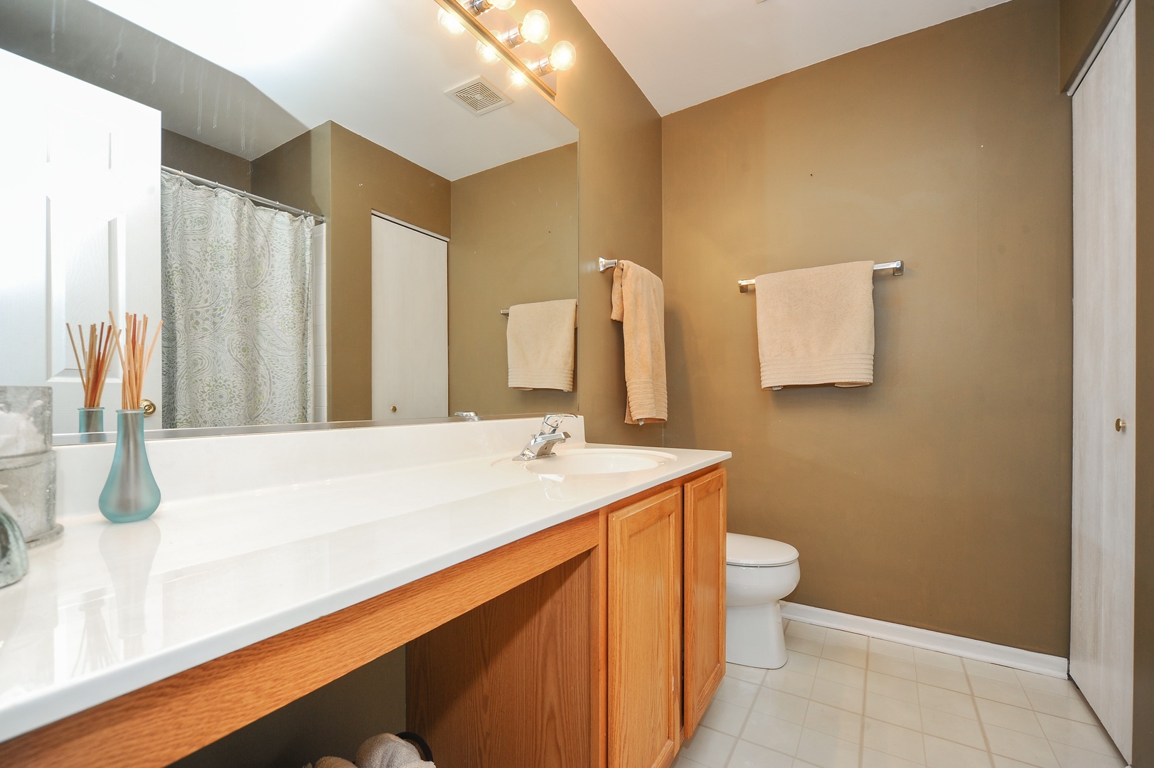3123 Falling Waters Lane Lindenhurst, IL 60046 - Photo 9 of 16