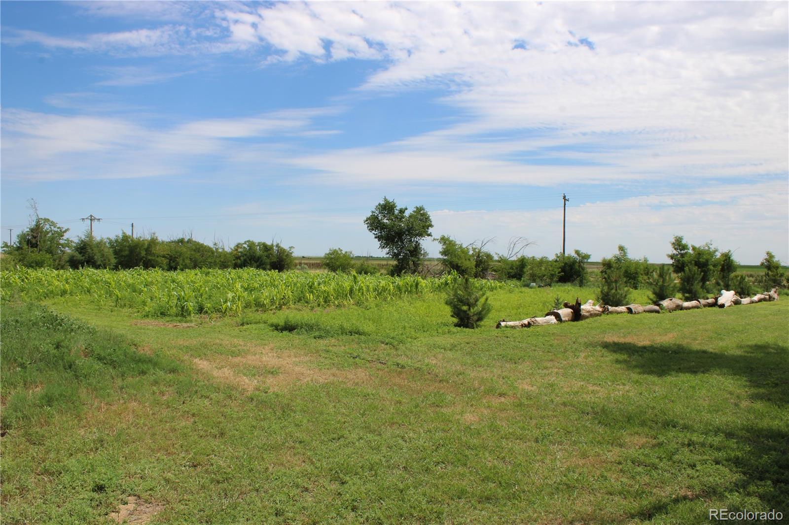 1901 County Road East Joes, CO 80822 - Photo 15 of 36