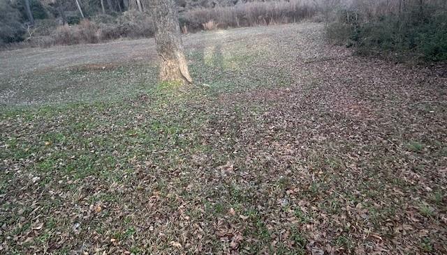 304 Hill Street Commerce, GA 30529 - Photo 13 of 13