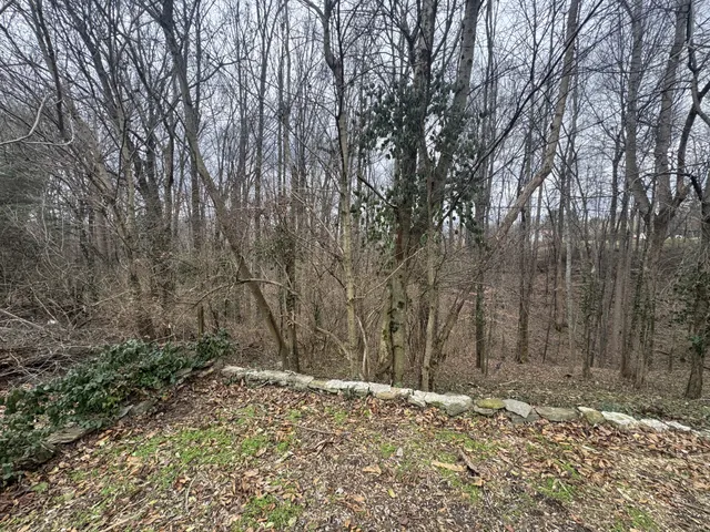 $170,000 | 146 H Brown Lane, Gainesboro, TN 38562