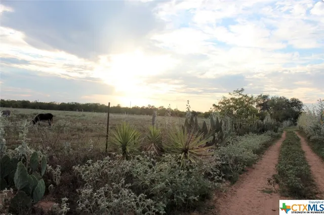 a view of a yard with wooden fence