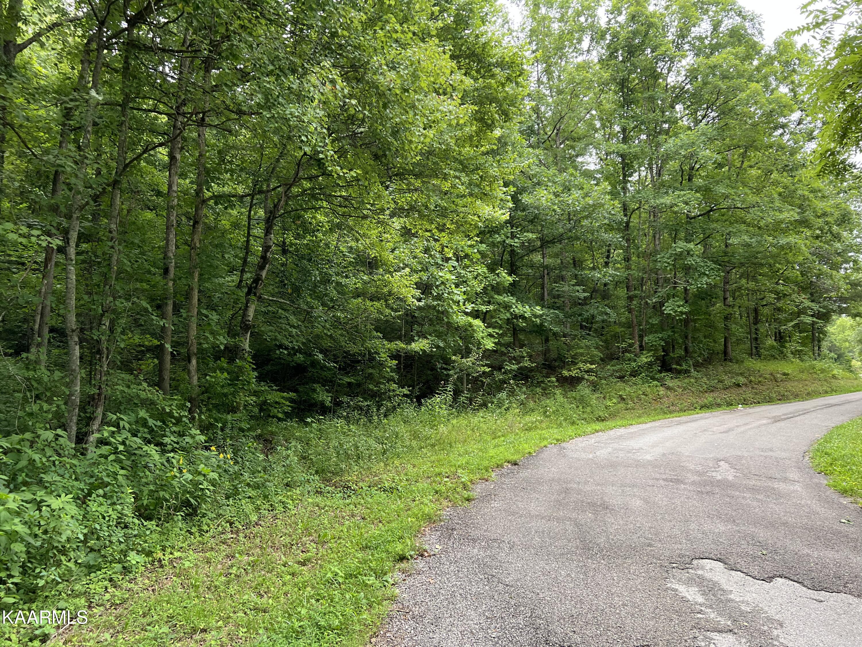 Hamby Road Sunbright, TN 37872 - Photo 15 of 16 079C3F8B-881E-4DC7-8163-FED740C6B13D