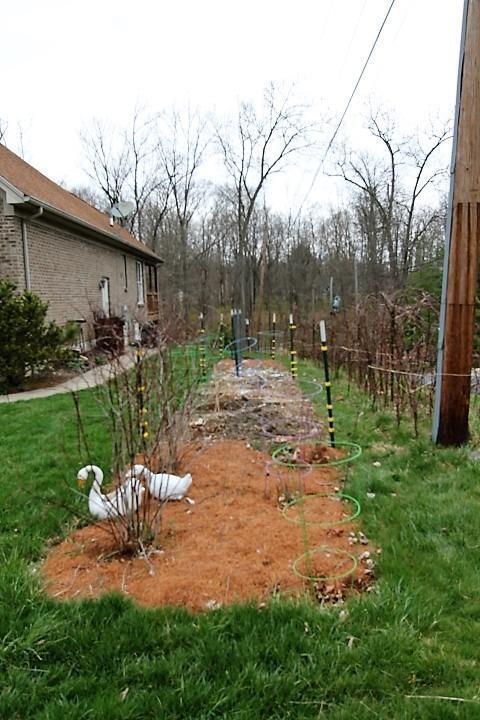 8046 Forest Road Cincinnati, OH 45255 - Photo 2 of 41 Gallery Image 2