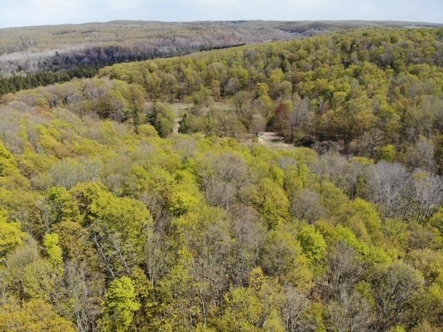 234 Swamp Rd Rapid Rapid City, MI 49676 - Photo 11 of 15