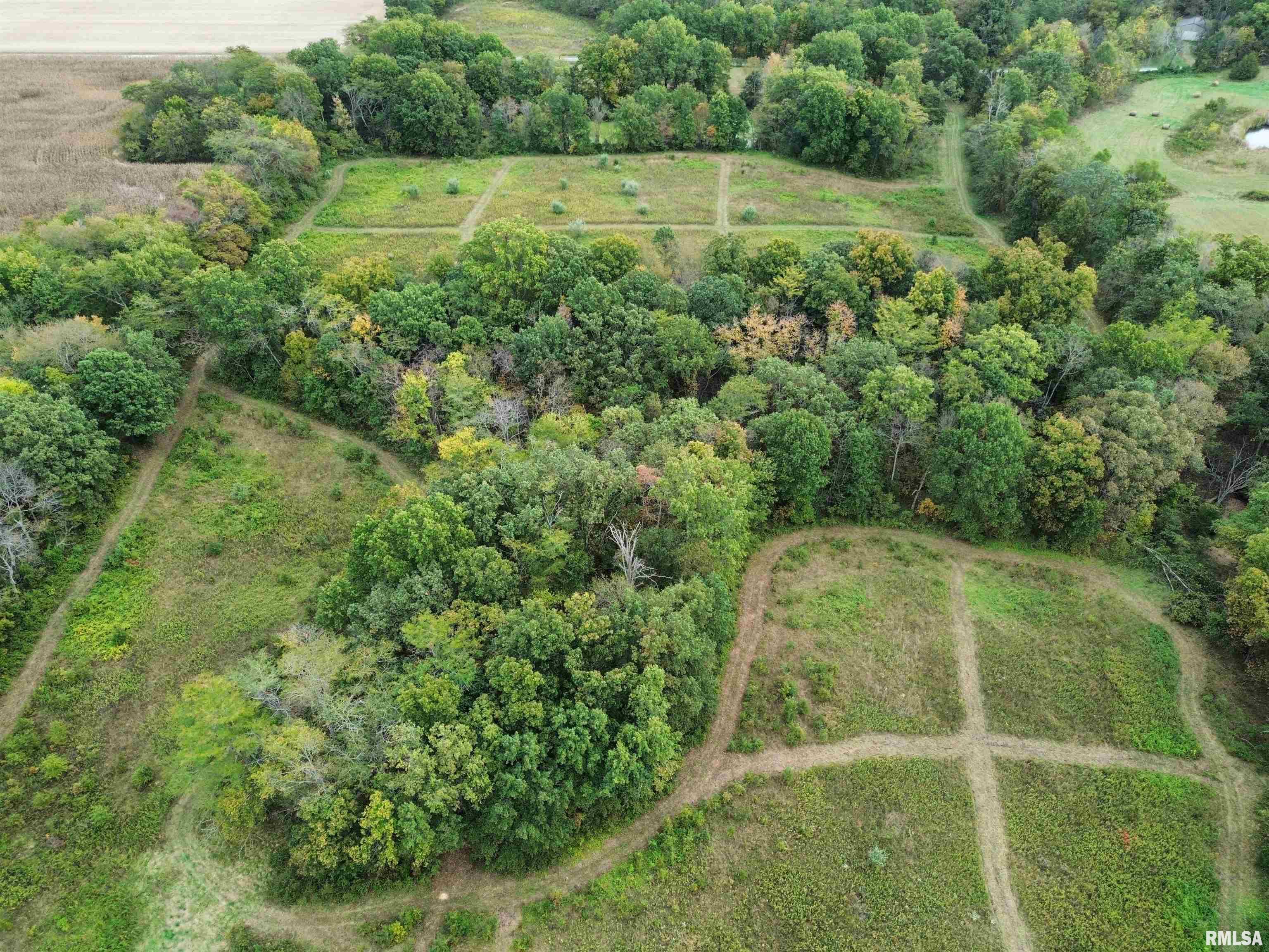 0 950 E Road, Unit COUNTY Cisne, IL 62823 - Photo 11 of 36 Gallery Image 11