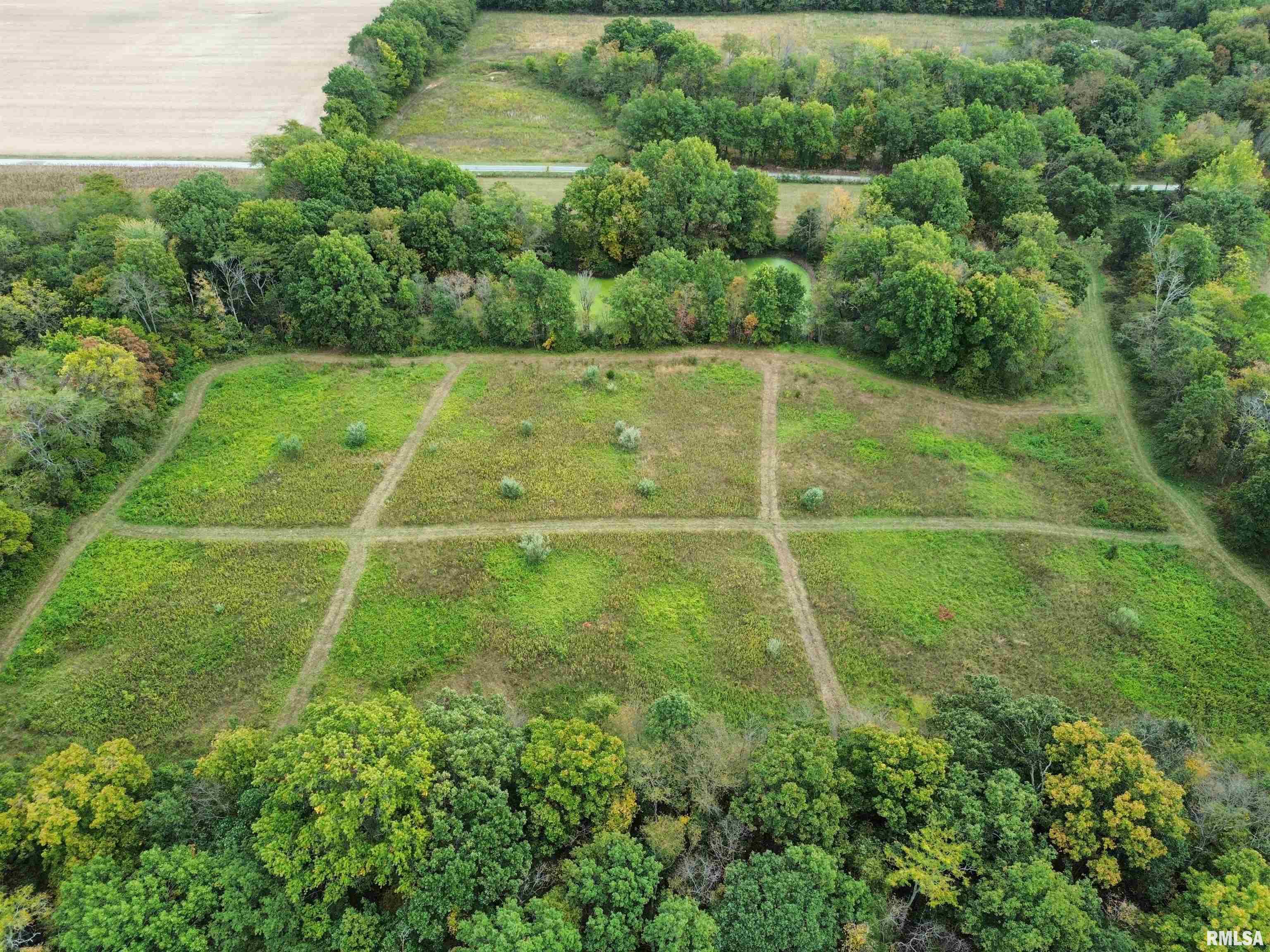 0 950 E Road, Unit COUNTY Cisne, IL 62823 - Photo 12 of 36 Gallery Image 12