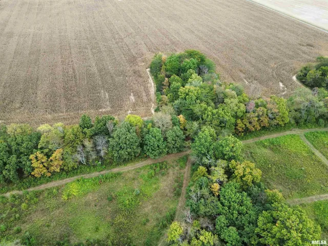 $113,000 | 0 950 E Road, Unit COUNTY, Cisne, IL 62823