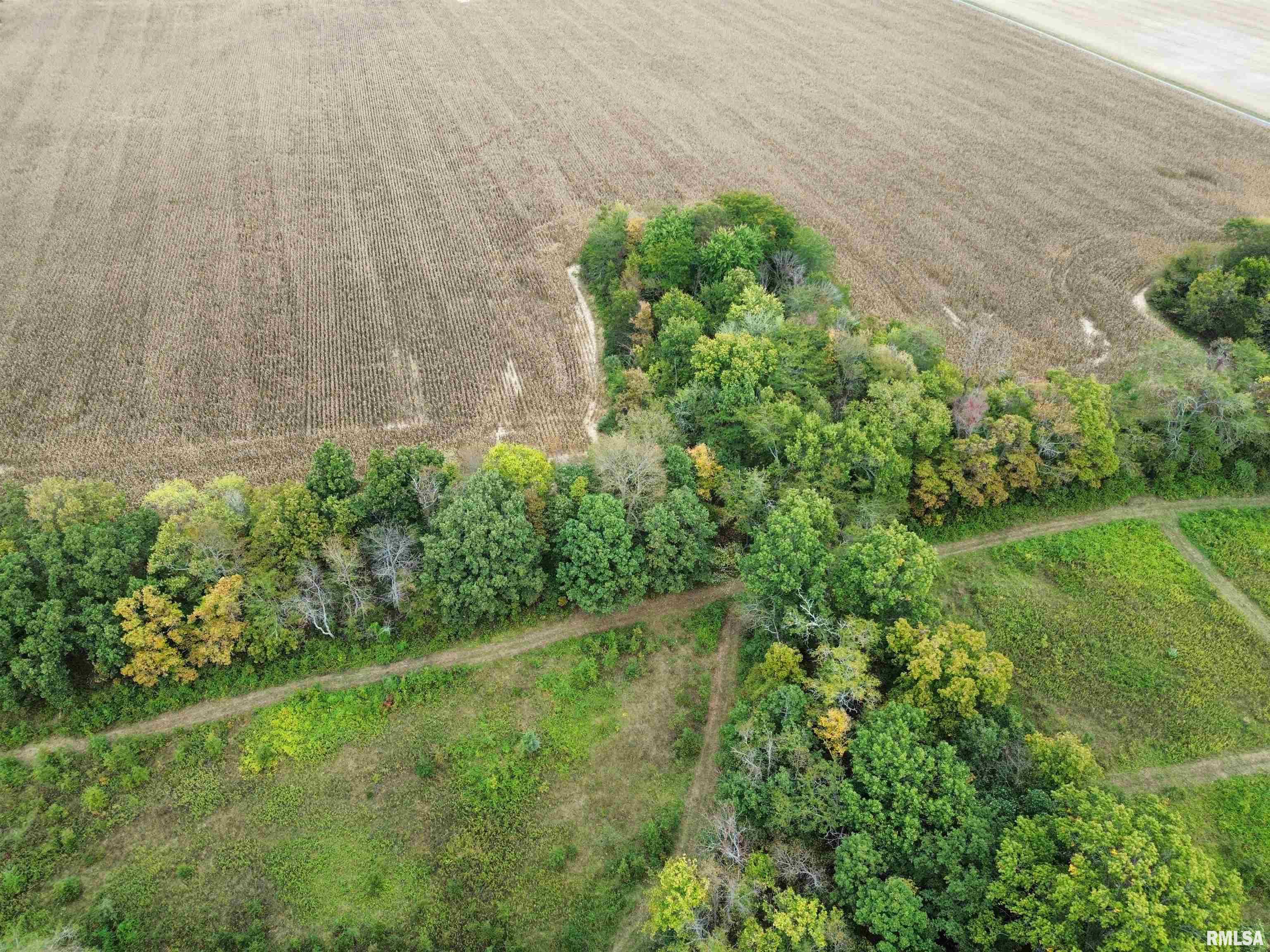 0 950 E Road, Unit COUNTY Cisne, IL 62823 - Photo 13 of 36 Gallery Image 13