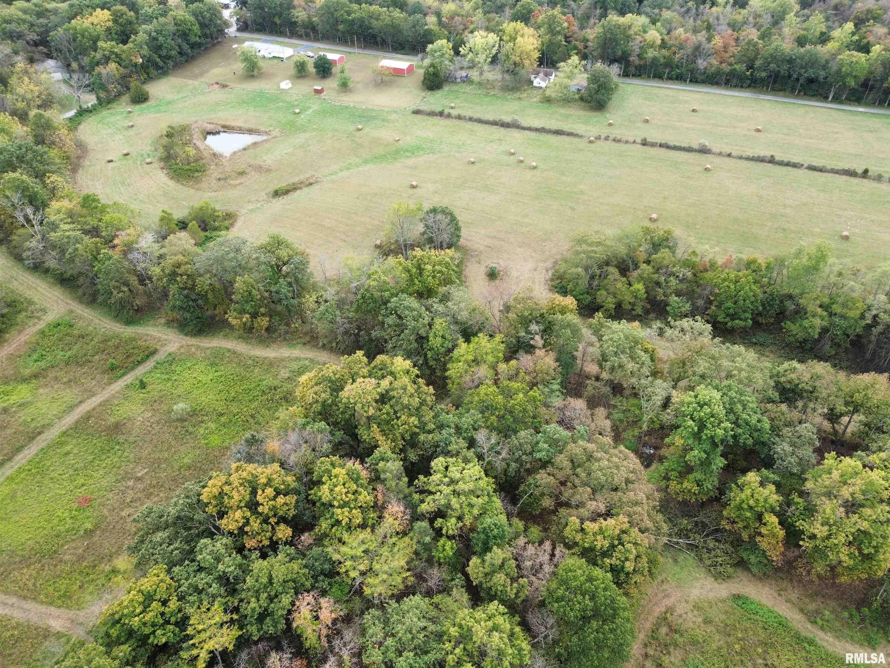 0 950 E Road, Unit COUNTY Cisne, IL 62823 - Photo 14 of 36 Gallery Image 14