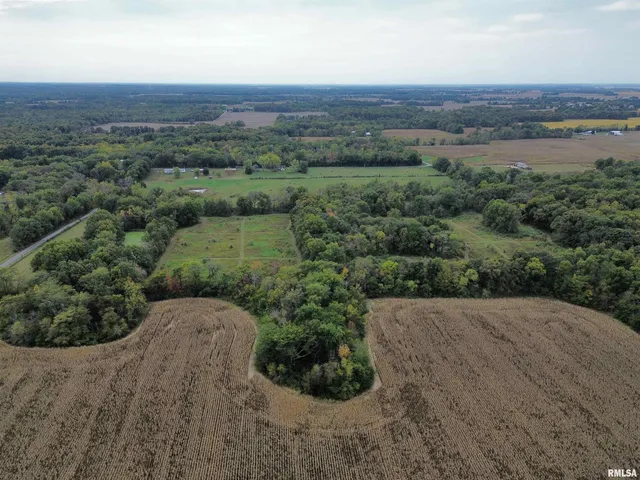 $113,000 | 0 950 E Road, Unit COUNTY, Cisne, IL 62823