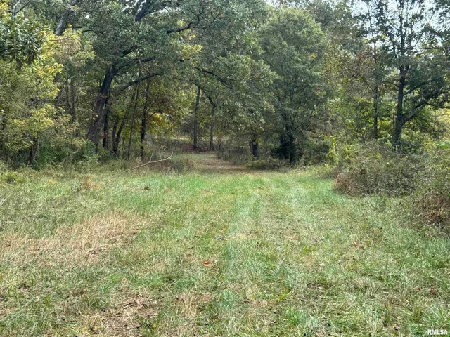 $113,000 | 0 950 E Road, Unit COUNTY, Cisne, IL 62823