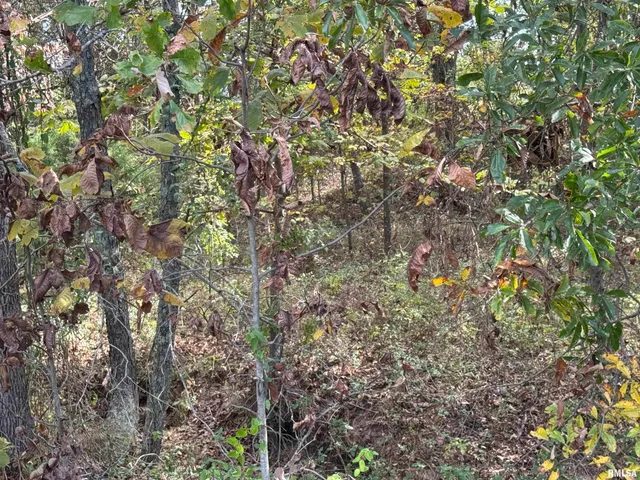 $113,000 | 0 950 E Road, Unit COUNTY, Cisne, IL 62823