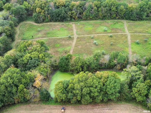 $113,000 | 0 950 E Road, Unit COUNTY, Cisne, IL 62823