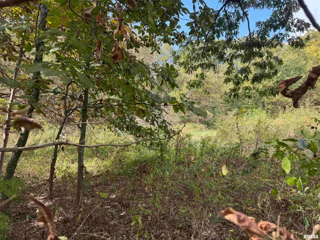 $113,000 | 0 950 E Road, Unit COUNTY, Cisne, IL 62823