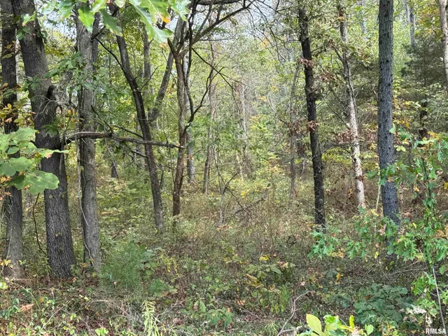 $113,000 | 0 950 E Road, Unit COUNTY, Cisne, IL 62823