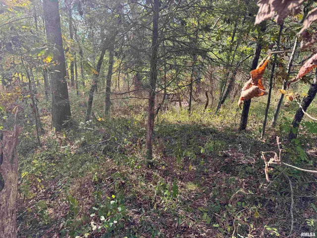 $113,000 | 0 950 E Road, Unit COUNTY, Cisne, IL 62823