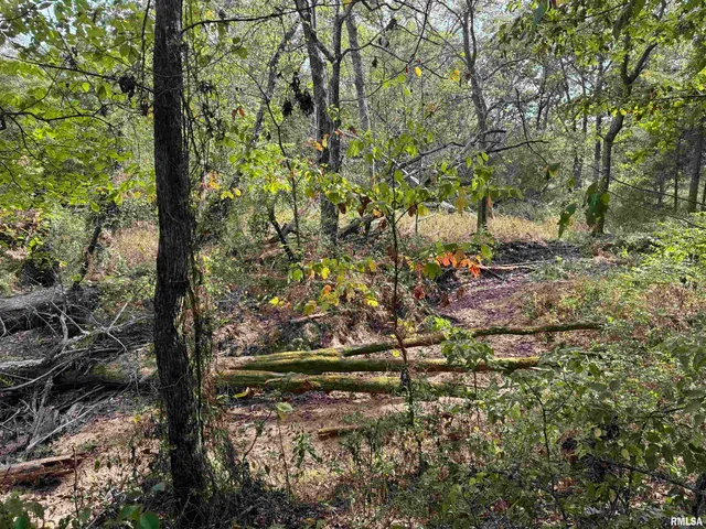 $113,000 | 0 950 E Road, Unit COUNTY, Cisne, IL 62823