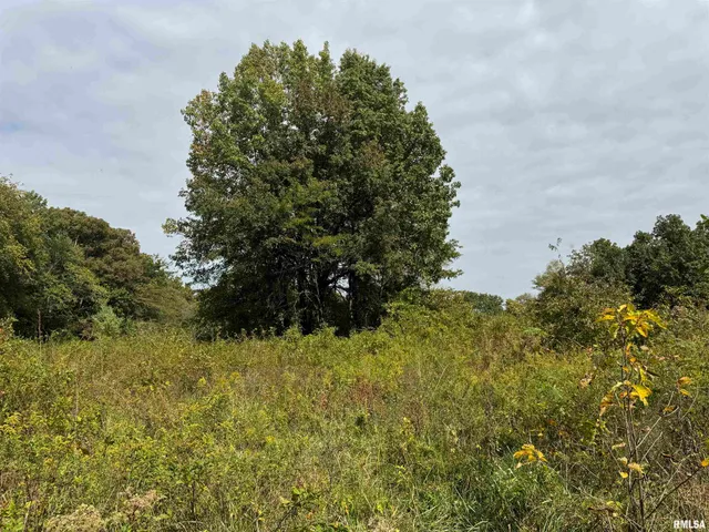 $113,000 | 0 950 E Road, Unit COUNTY, Cisne, IL 62823