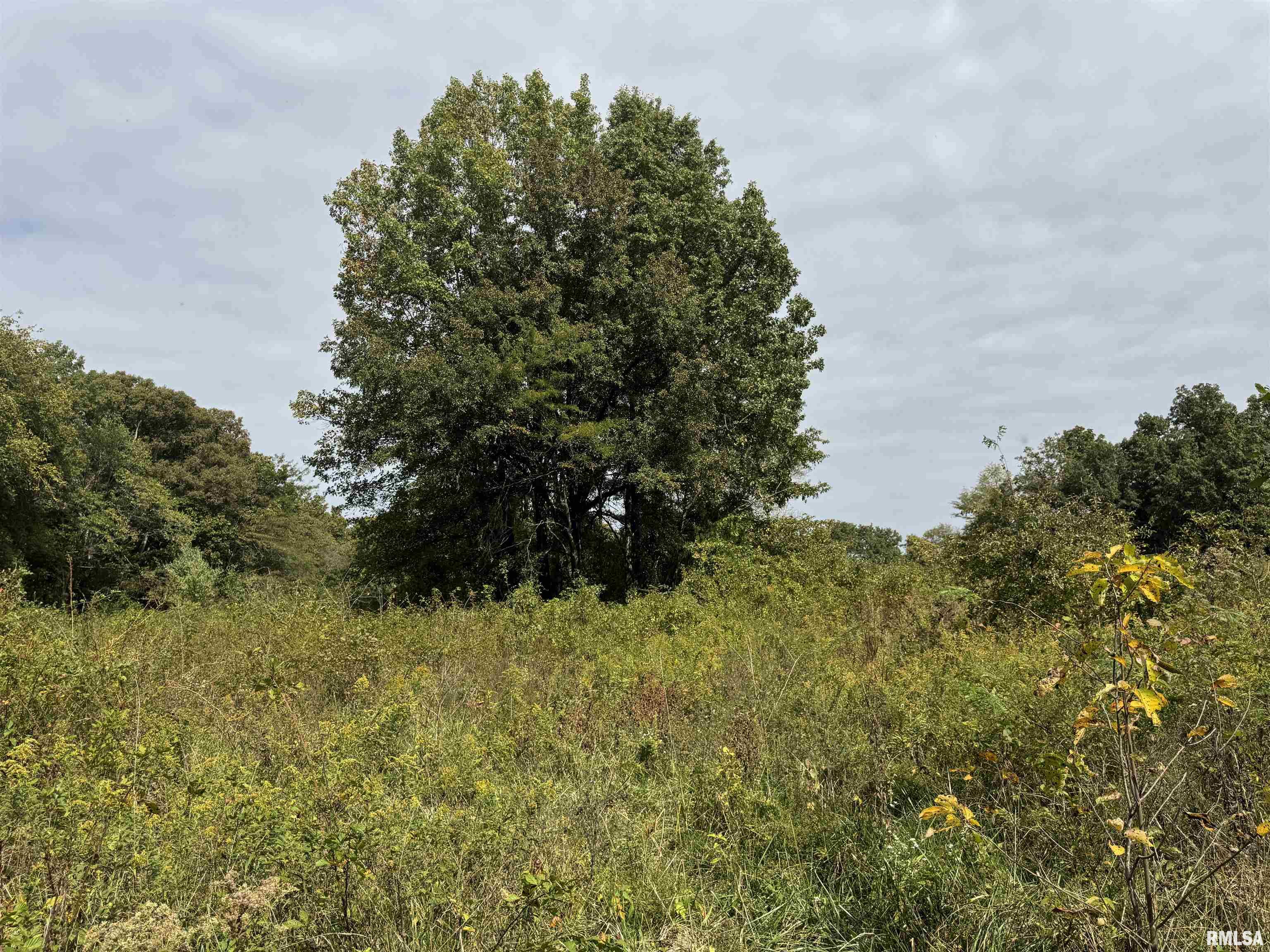 0 950 E Road, Unit COUNTY Cisne, IL 62823 - Photo 25 of 36 Gallery Image 25