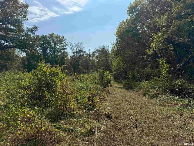 $113,000 | 0 950 E Road, Unit COUNTY, Cisne, IL 62823