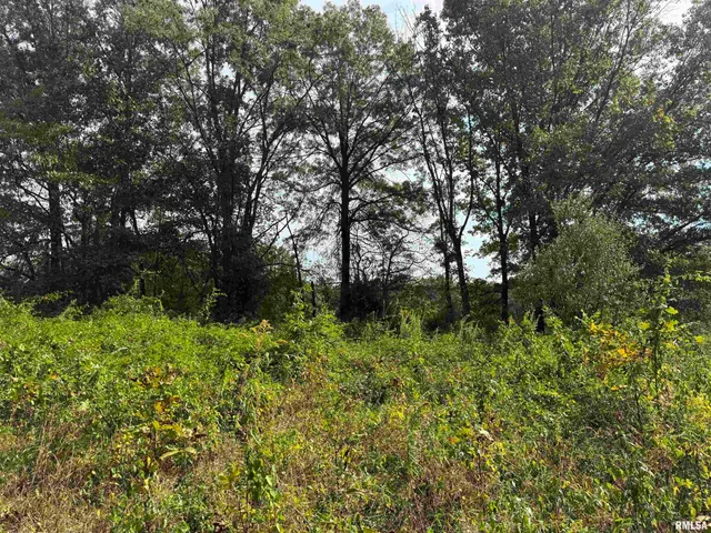 $113,000 | 0 950 E Road, Unit COUNTY, Cisne, IL 62823