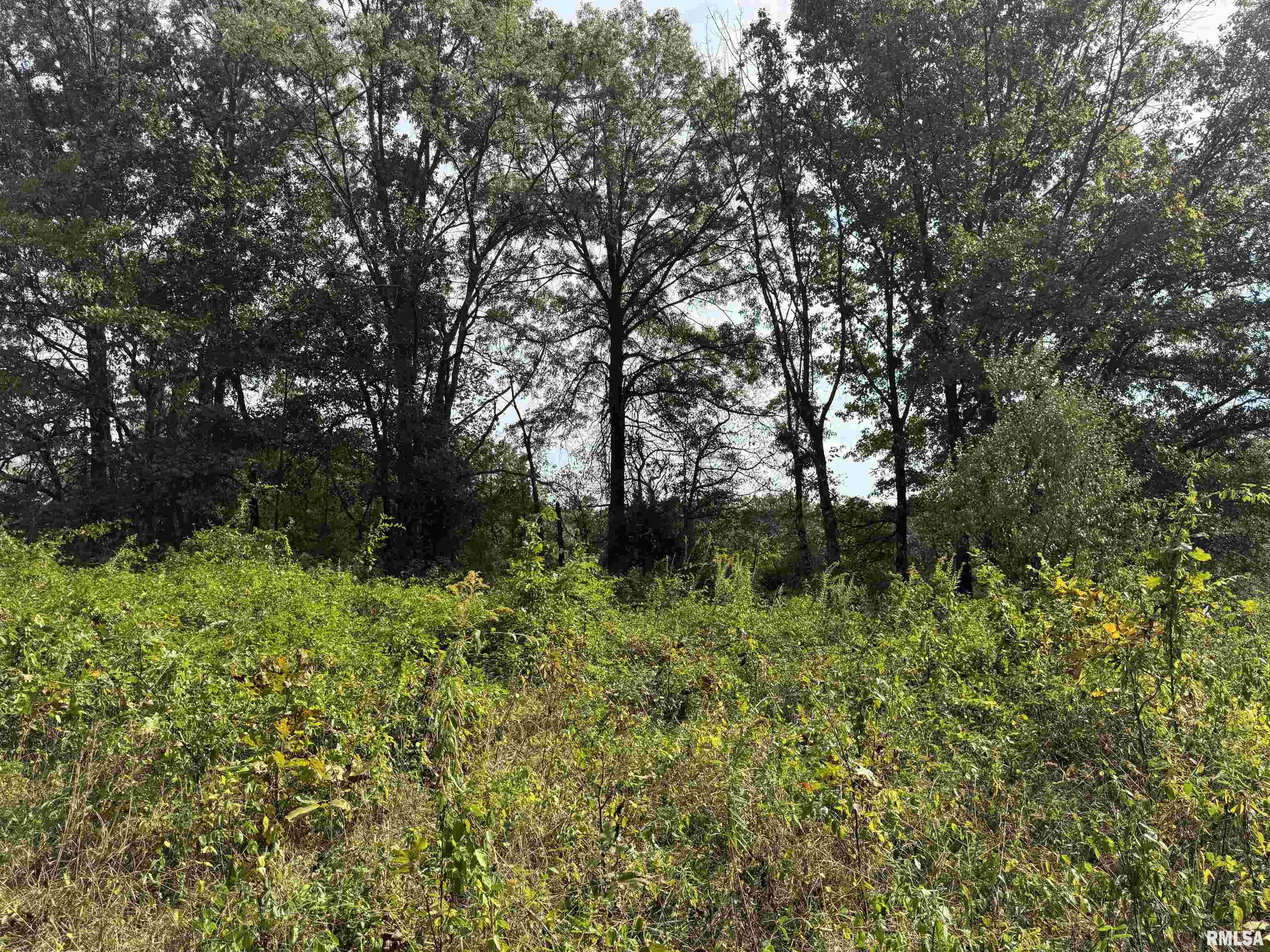 0 950 E Road, Unit COUNTY Cisne, IL 62823 - Photo 27 of 36 Gallery Image 27