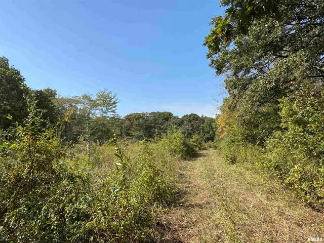 $113,000 | 0 950 E Road, Unit COUNTY, Cisne, IL 62823