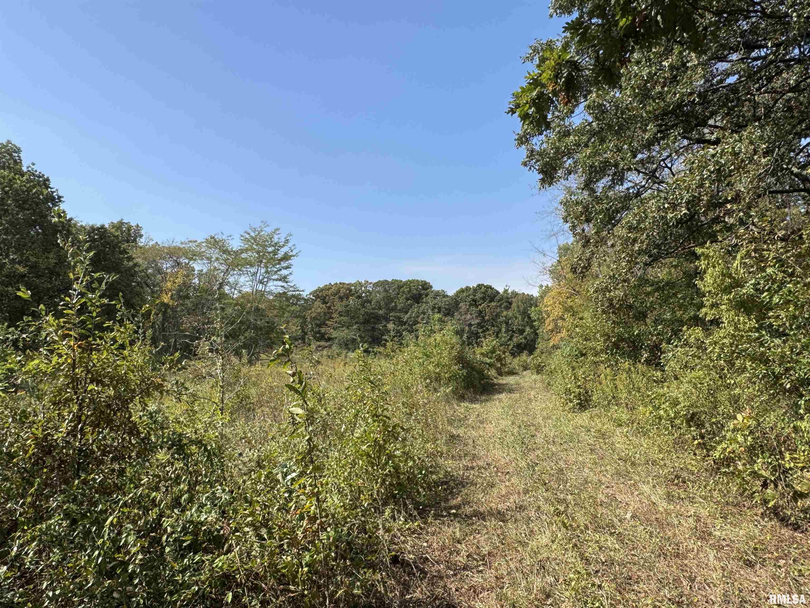 0 950 E Road, Unit COUNTY Cisne, IL 62823 - Photo 28 of 36 Gallery Image 28