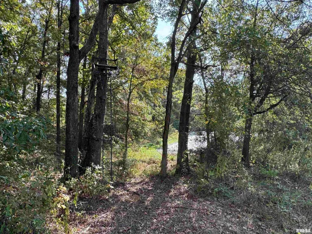 $113,000 | 0 950 E Road, Unit COUNTY, Cisne, IL 62823